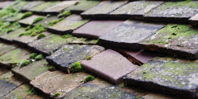 Stewkley roof repair costs
